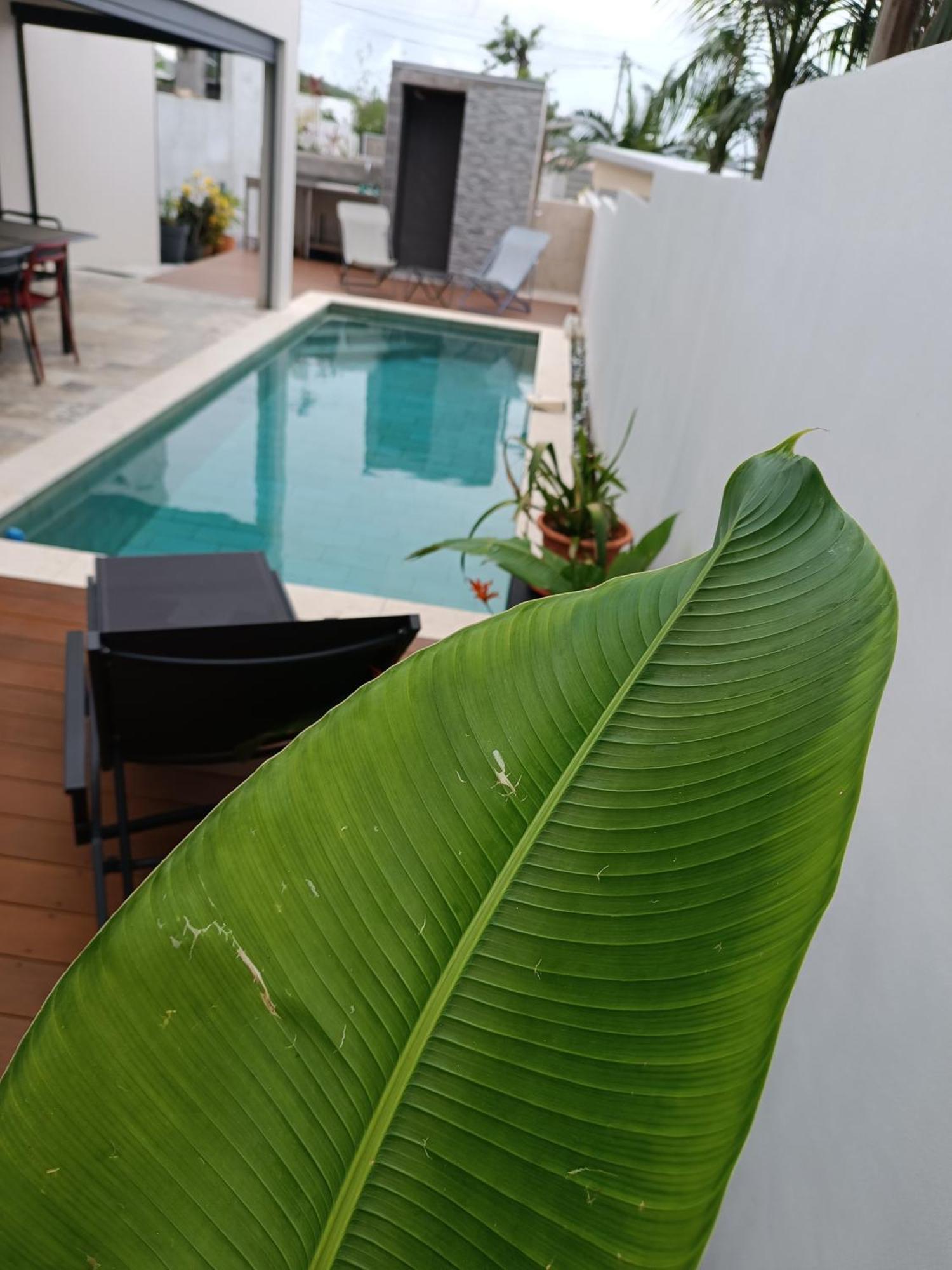 Villa O'Lhaya Piscine Pivee Saint-Joseph Εξωτερικό φωτογραφία