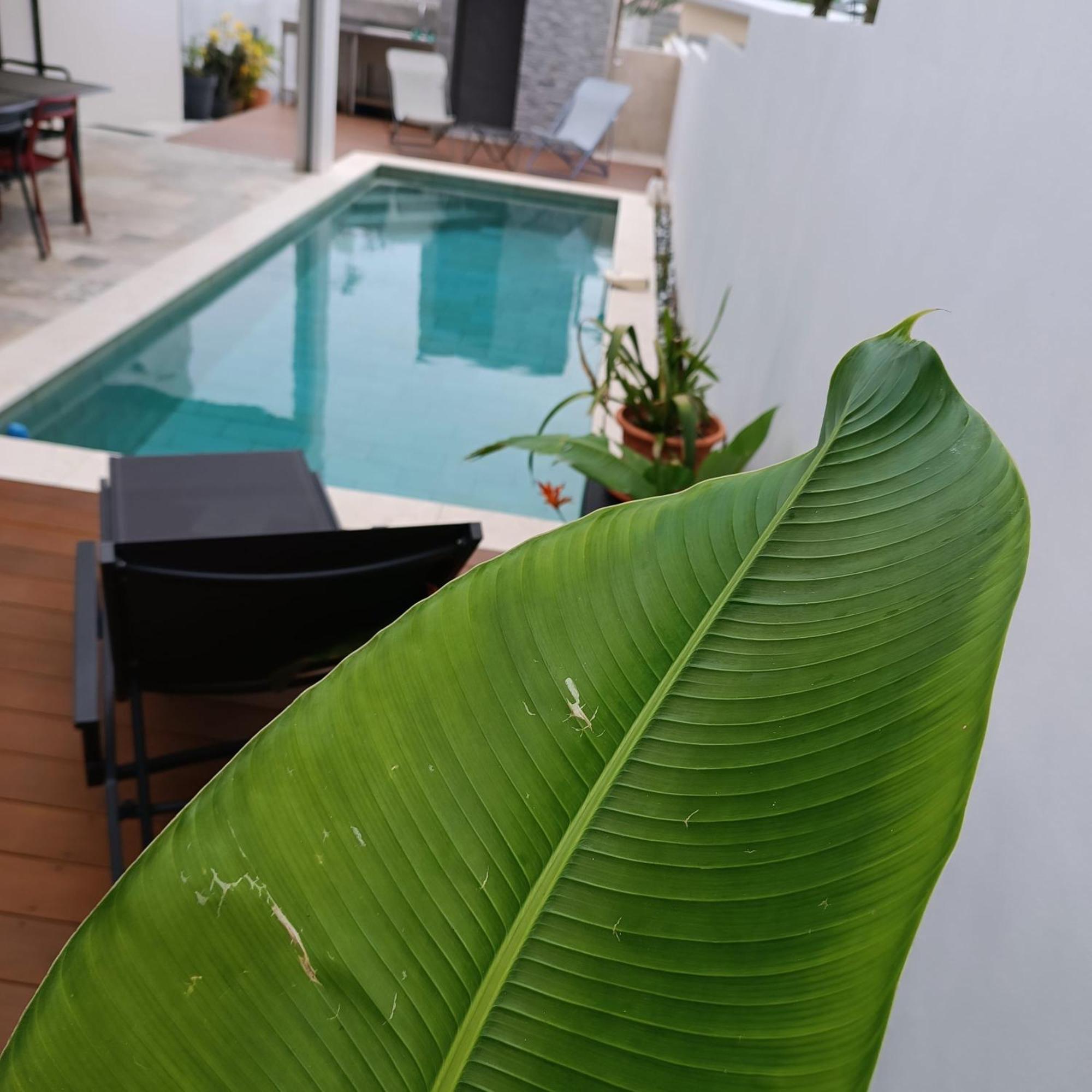 Villa O'Lhaya Piscine Pivee Saint-Joseph Εξωτερικό φωτογραφία