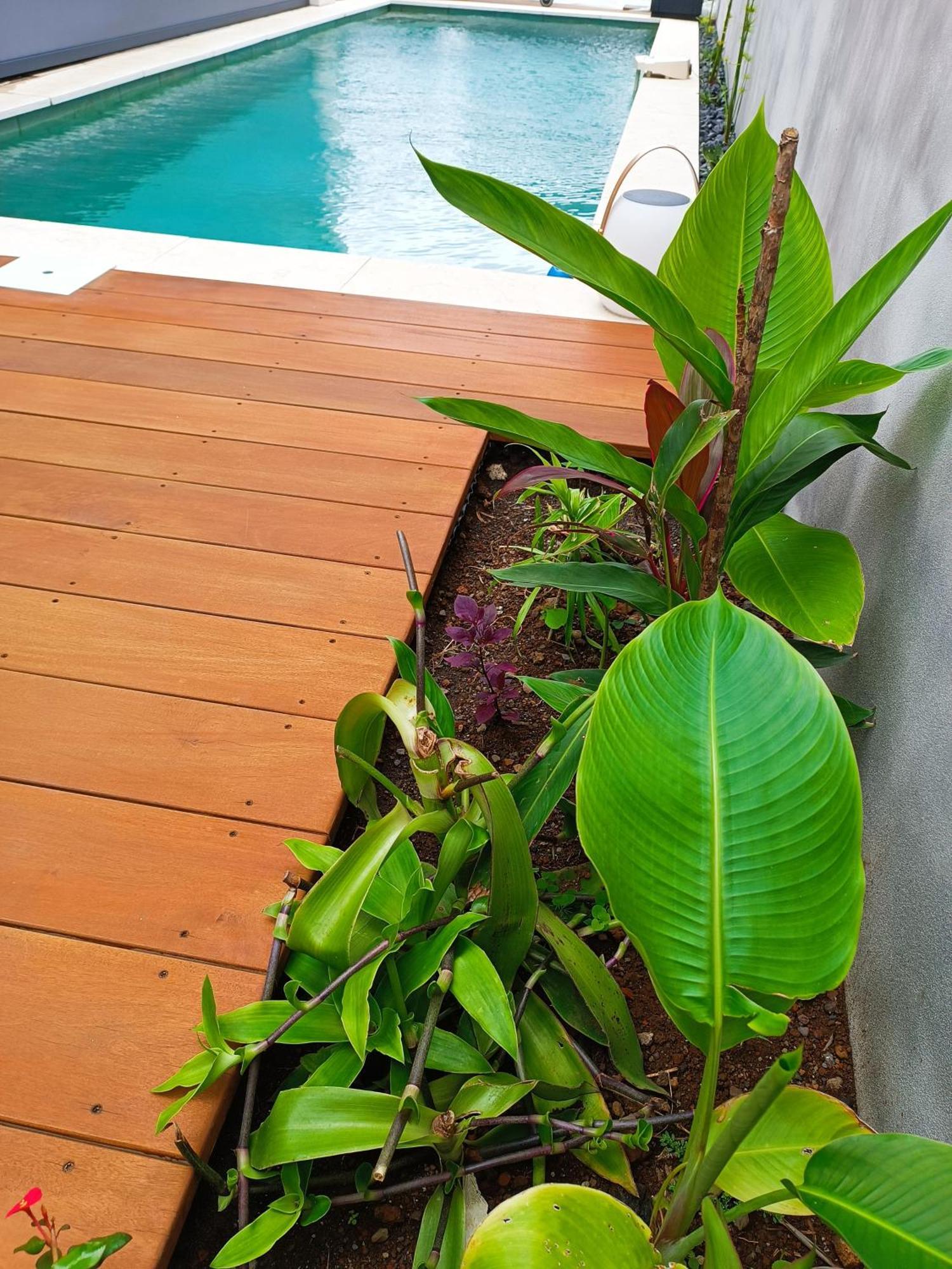 Villa O'Lhaya Piscine Pivee Saint-Joseph Εξωτερικό φωτογραφία